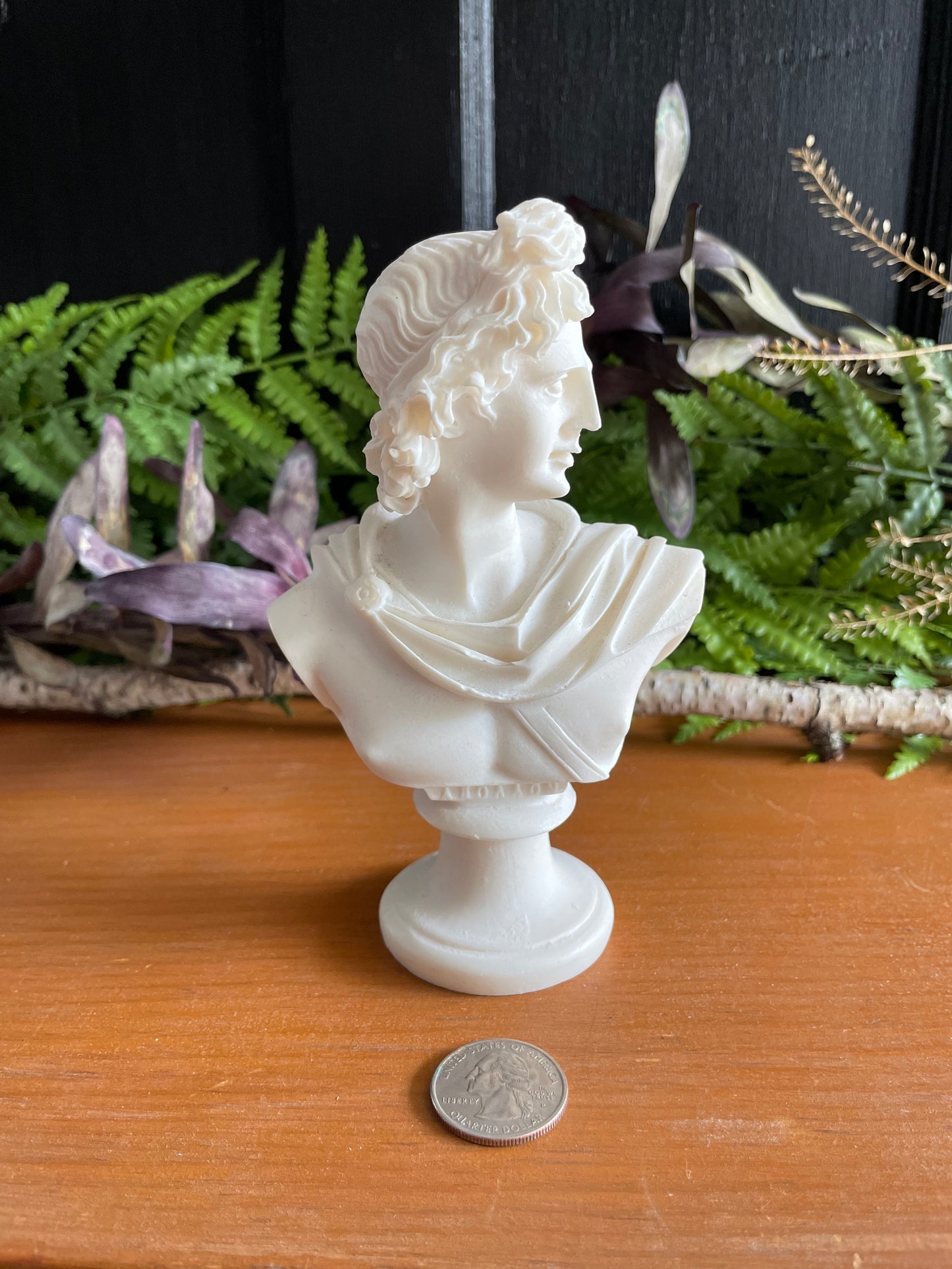 Apollo Bust